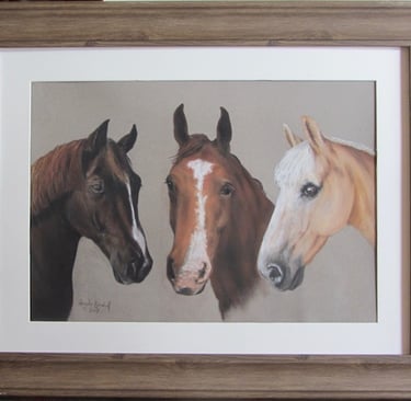 Commissioned triple portrait of lady's first three horses, as a birthday present using owner's photos, drawn in soft pastel