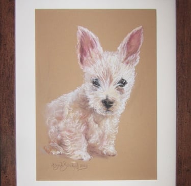 Soft pastel portrait of Ezra, an adorable three-month-old Westie puppy