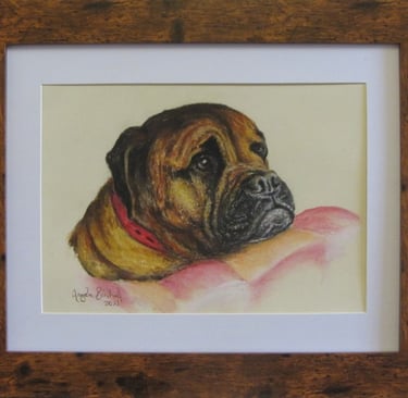Commissioned portrait of dog, taken from owner's photograph, drawn in soft pastel