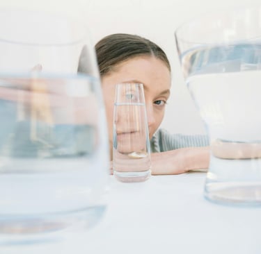 Distorsions cognitives