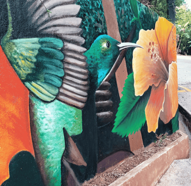 a mural of a hummingbird in a mural of a hummingbird