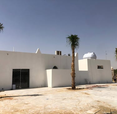 توريد نخيل ملوكي في الأحساء