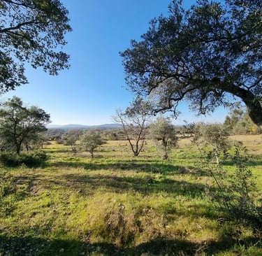 Boerderij in Portugal met uitzicht op de Bergen 