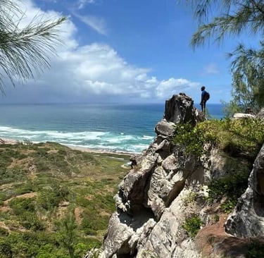https://etbarbados.com/