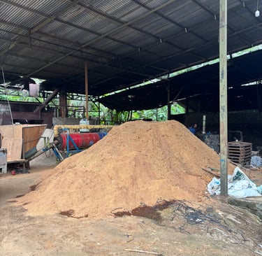 sawdust to produce wood pellets