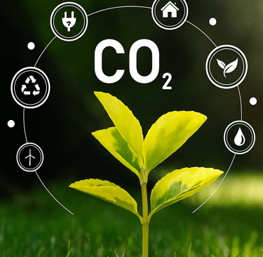 Feuille nature biodiversité et icones représentant les périmètres d'un plan d'action Bas Carbone