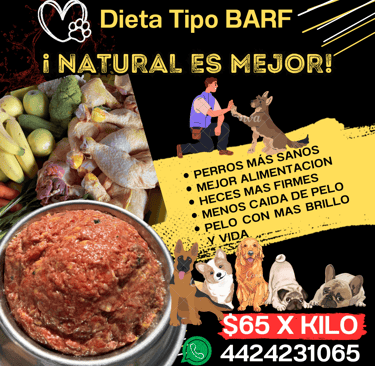 Comida natural para tus perros
