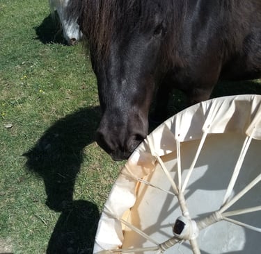Drum blessing