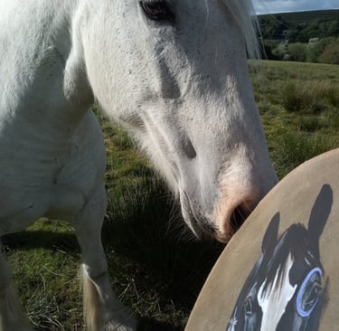 Horse blessing drum