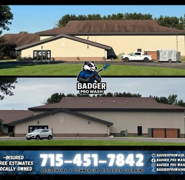 Roof cleaning service removing algae and moss from asphalt shingles