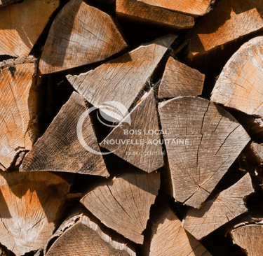 un tas de bûches