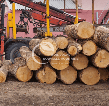 une grue qui déplace des tas de bois