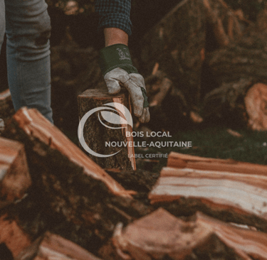 un bucheron qui coupe du bois