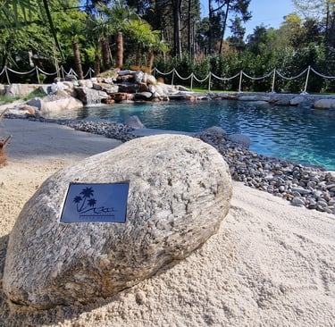 Piscine naturali e benessere abitativo: come sta cambiando il modo di progettare gli spazi nel 2026