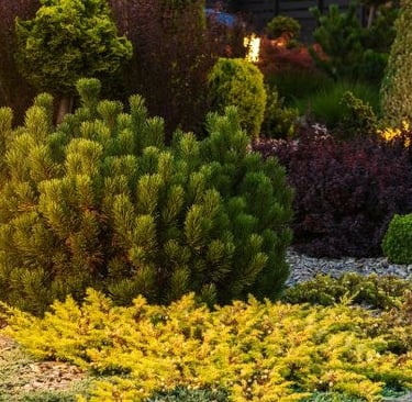 Illuminazione del giardino: criteri illuminotecnici per esterni