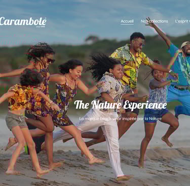 Site web : Carambole