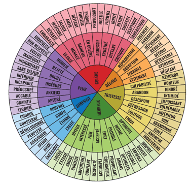 roue des émotions
