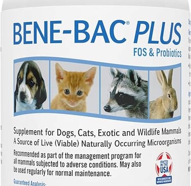 Hot Cross Buns' recommended products - Amazon Bene-bac