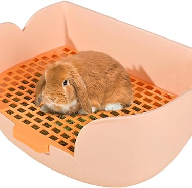 Nice, roomy litter box, perfectly designed for Holland Lop rabbits