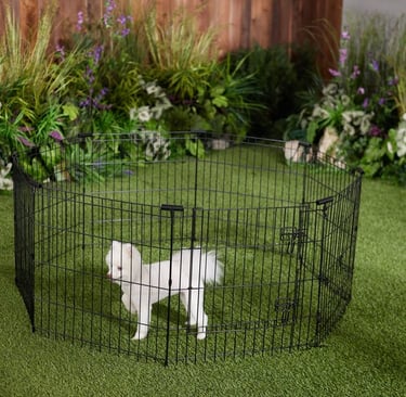 Hot Cross Buns' suggested exercise pen for Buns - Frisco 24" tall pen with walk through gate
