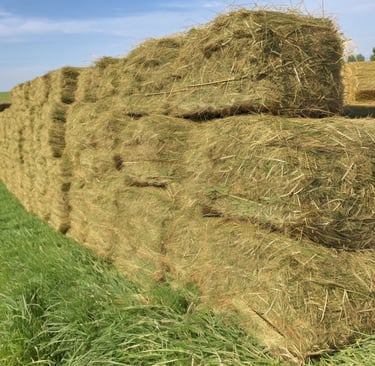 AI hay bale image