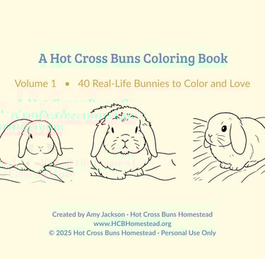 Hot Cross Buns Coloring Book Volume 1
