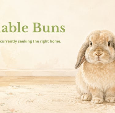 Hot Cross Buns' Available Buns Banner