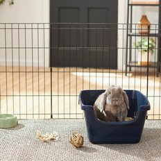 Hot Cross Buns' recommended Bun products - Frisco high-sided litter pan for rabbits at chewy.com
