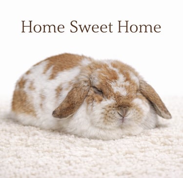 Hot Cross Buns Pumpkin Roll muffining on a cozy rug