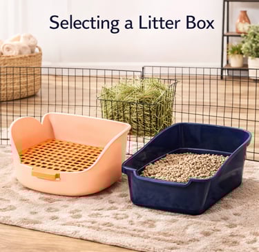 Rabbit litter boxes used at Hot Cross Buns