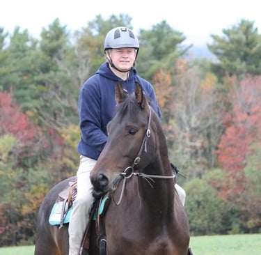 a man riding a horse in a field