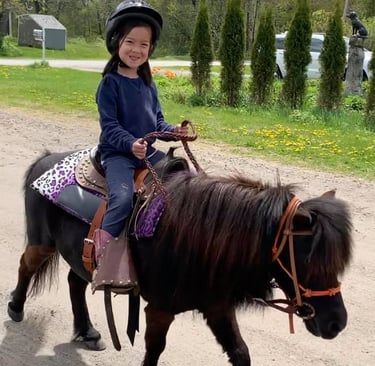 a young girl riding a pony in a field