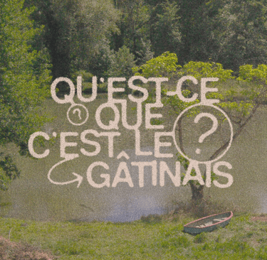 gatinais libre manifesto 1