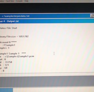 Bin file Wavestation SR 2