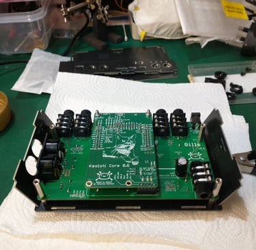 Ksoloti Gills: Enclosure build 4