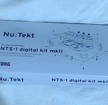 Korg NTs-1 MK2 main box