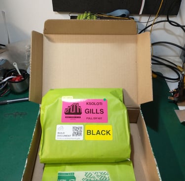 Ksoloti Gills: What's in box 1