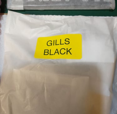Ksoloti Gills: What's in box 4