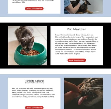 Services webpage design detailing pet services including wellness, emergency care, dentistry, and vaccination.