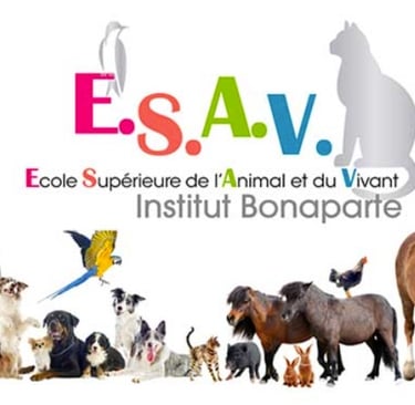 DU ETHIQUE ET CONDITION ANIMALE
