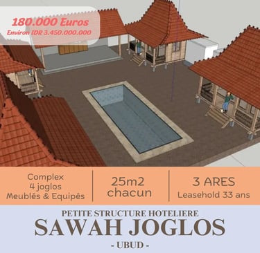 petite structure hoteliere Ubud, investir a Bali