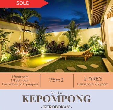 construction of villas in Bali, invest in Bali