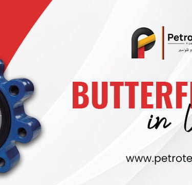 butterfly valve in UAE