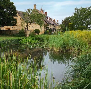 a photo of the village pond in Willersey, Gloucestershire with cottages beyond