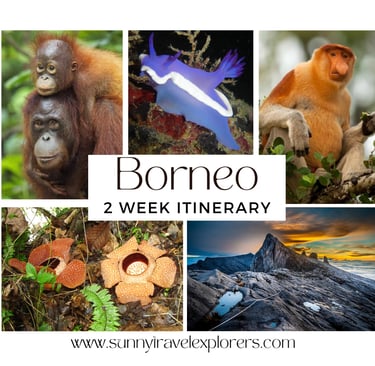 Borneo itinerary 2 weeks