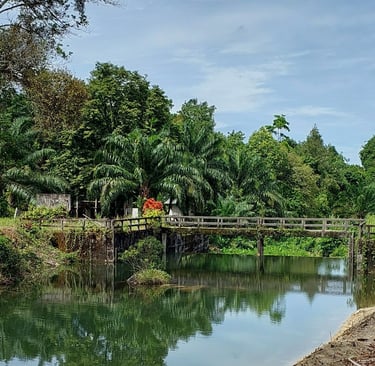 khao lak atv adventure lam ru river dam
