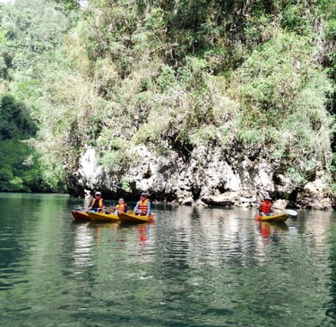krabi ao thalane mangrove forest kayaking