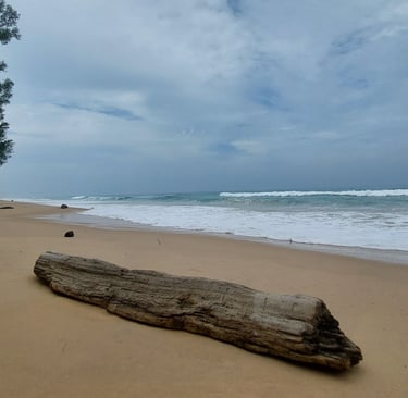 Thai Mueang Beach Phang Nga