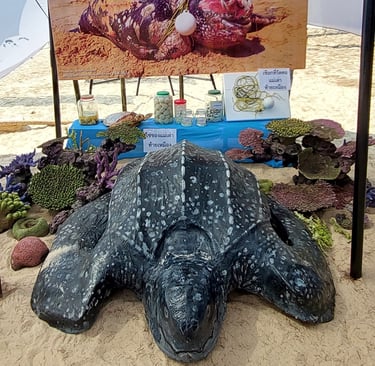 thai mueang turtle environmental awareness