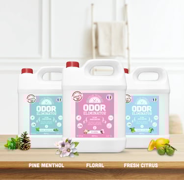 Bộ ba sản phẩm khử mùi Odor Eliminator với hương Pine Menthol, Floral và Fresh Citrus